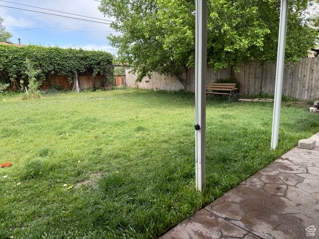 View of yard