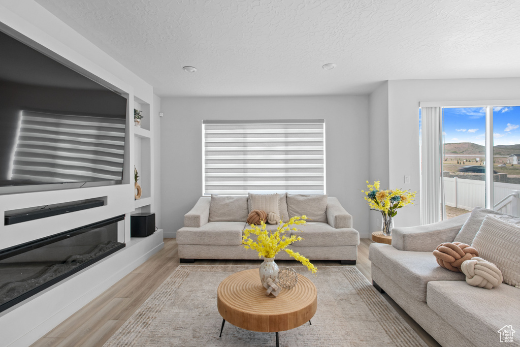Living room featuring a textured ceiling, wood finished floors, and built in shelves