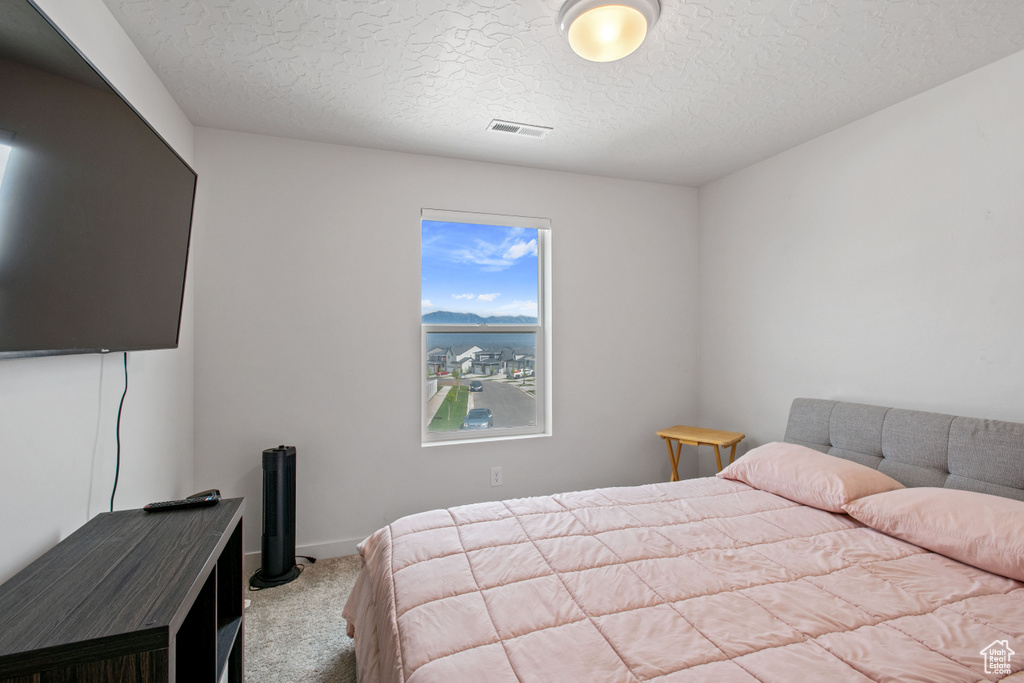 Carpeted bedroom featuring a textured ceiling