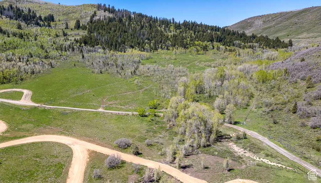View of property location featuring mountains and a forest