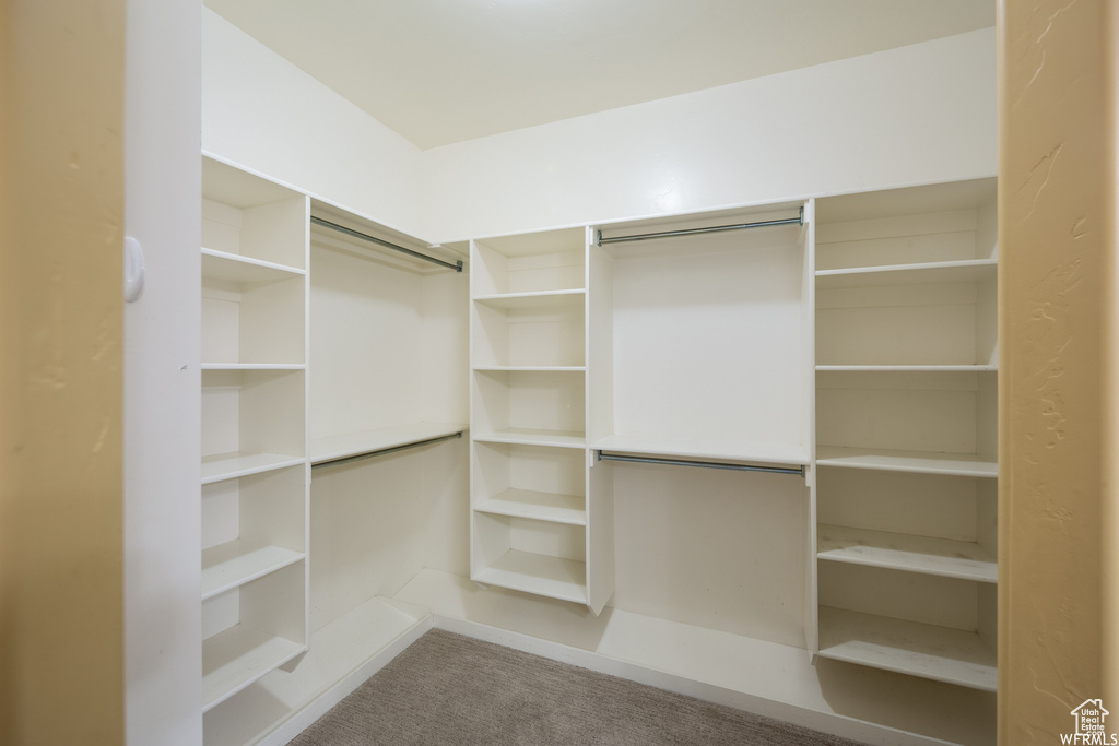 Spacious closet featuring carpet