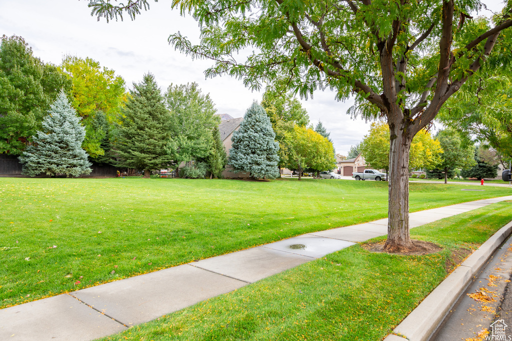 View of green lawn