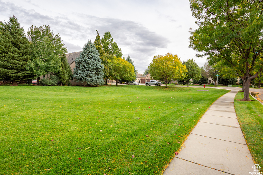 View of green lawn