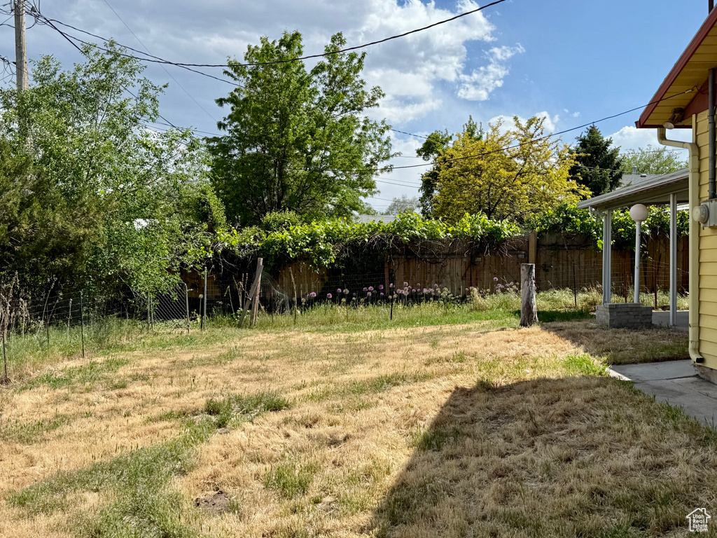 View of yard