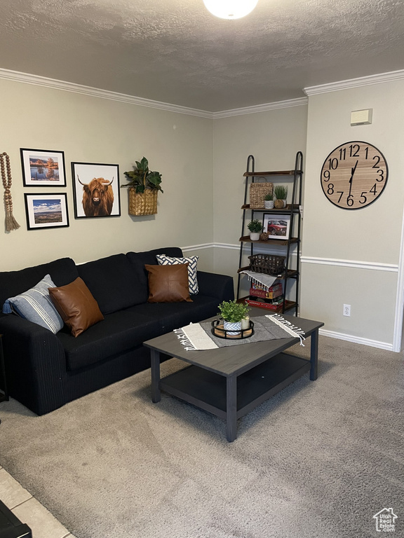 Carpeted living room featuring ornamental molding, a textured ceiling, and baseboards