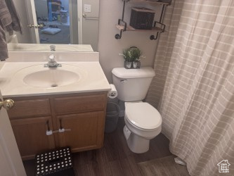 Full bathroom featuring vanity, wood finished floors, toilet, and curtained shower
