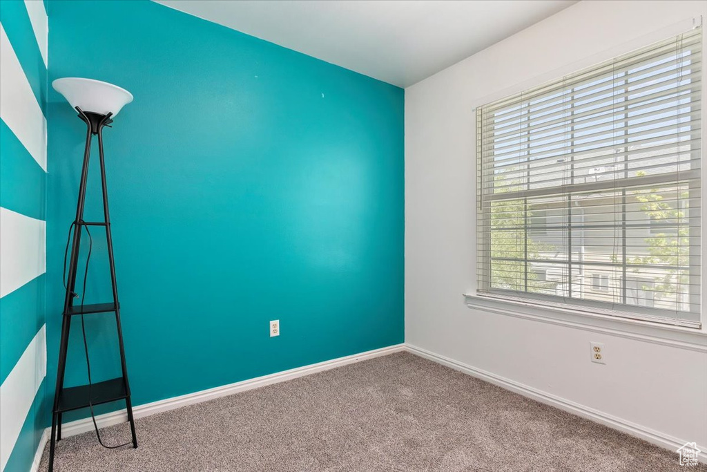 Carpeted spare room featuring healthy amount of natural light and baseboards