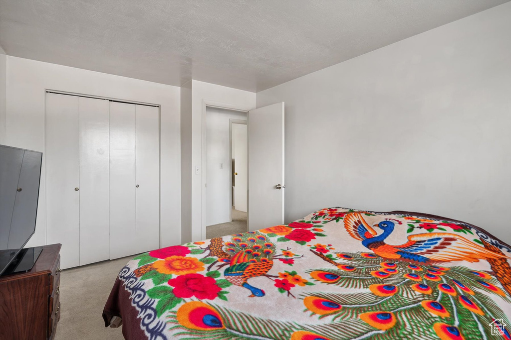Bedroom with carpet flooring and a closet