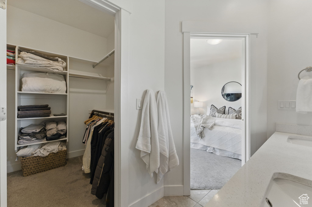 Spacious closet featuring light carpet and a sink