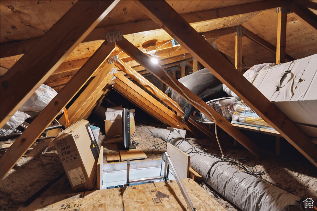 View of unfinished attic