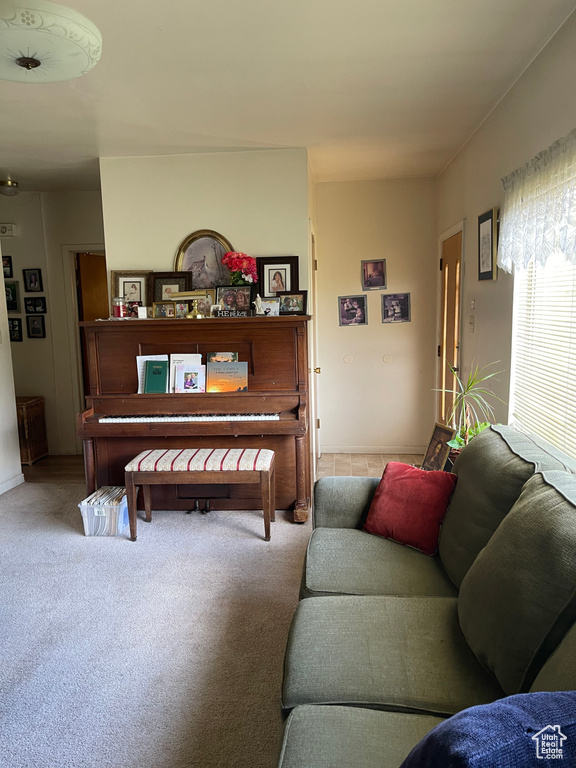 Living room with carpet floors