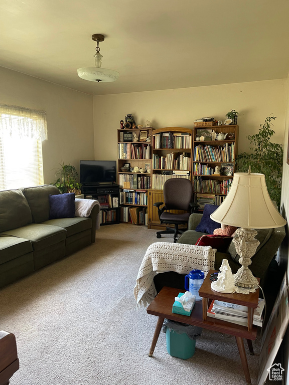 View of carpeted living room