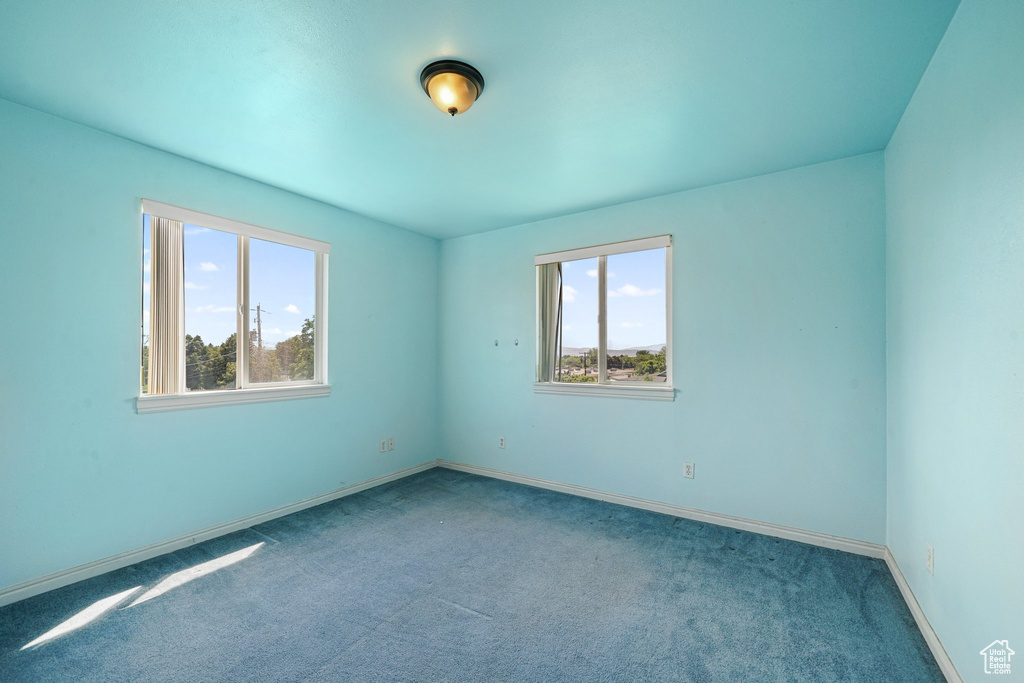 Carpeted empty room featuring plenty of natural light and baseboards