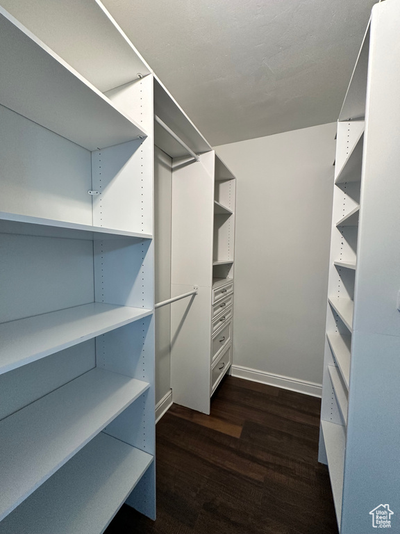 Walk in closet with dark wood-type flooring