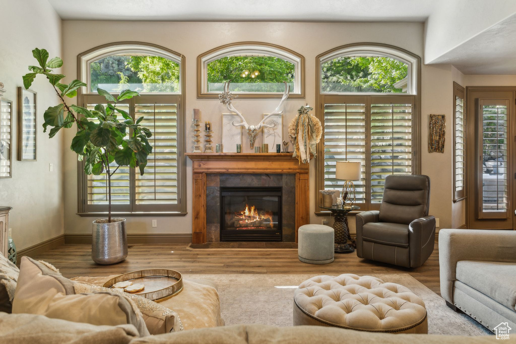 Living room with a glass covered fireplace, wood finished floors, and plenty of natural light