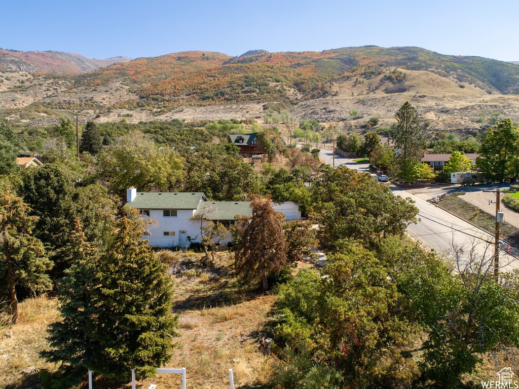 View of mountain background