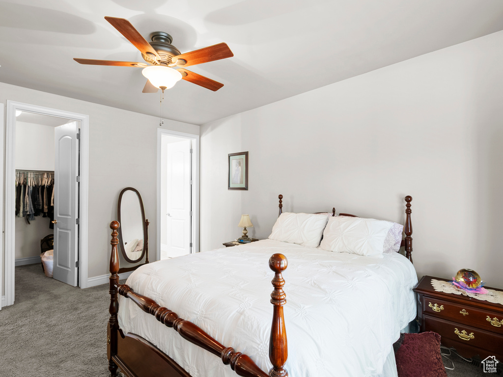 Carpeted bedroom featuring a walk in closet, a closet, baseboards, and ceiling fan