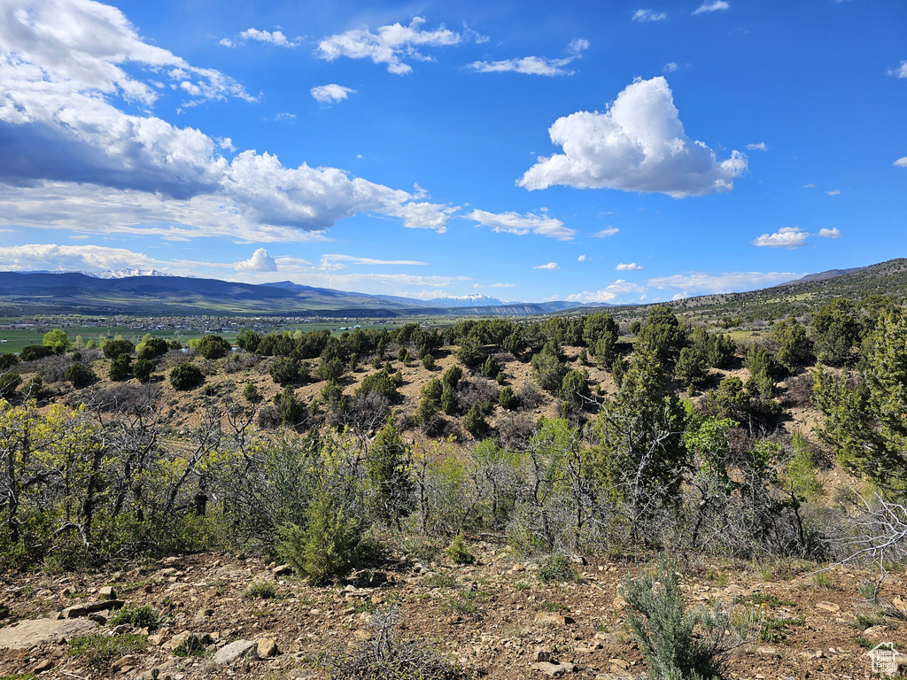 Mountain view