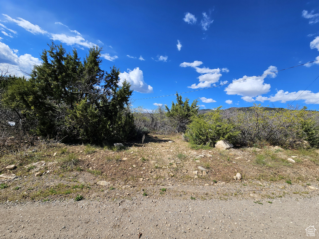 View of nature