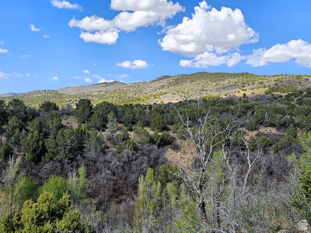 View of mountain backdrop featuring a forest