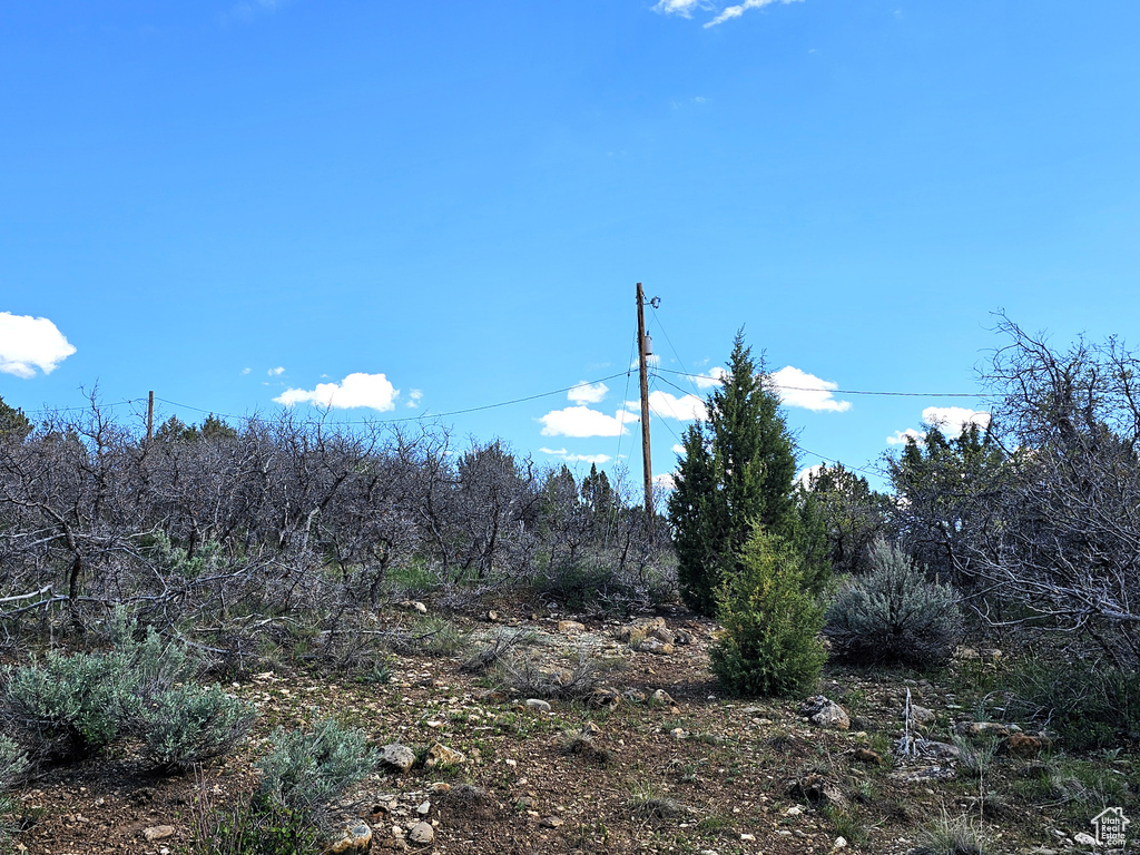 View of nature