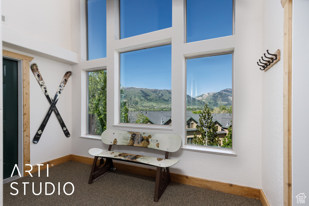 Detailed view of a mountainous background, carpet floors, and baseboards