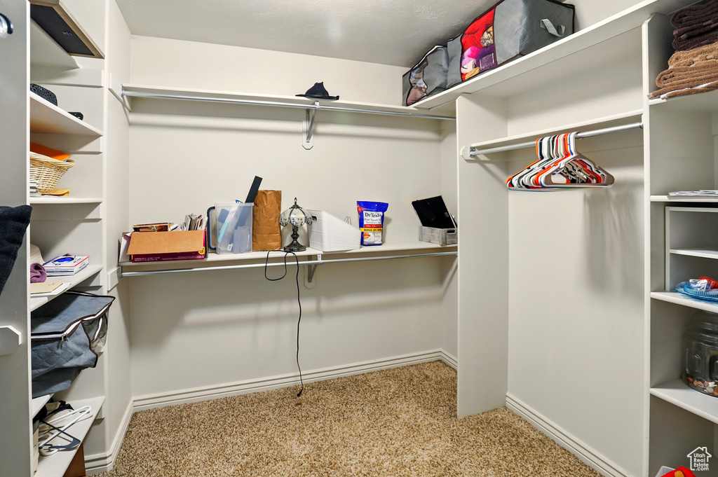 Walk in closet featuring carpet flooring