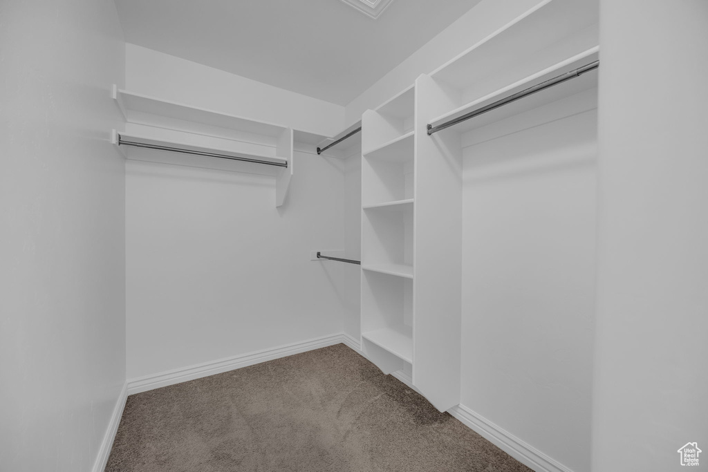 Spacious closet with carpet floors