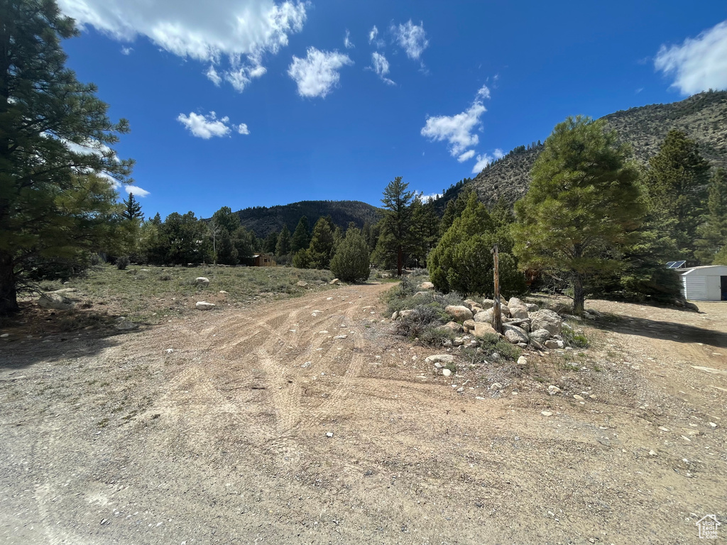 View of mountain backdrop featuring a forest