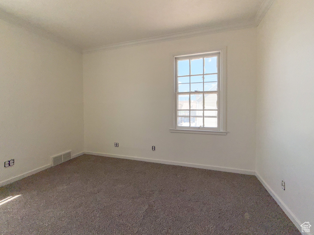 Unfurnished room featuring ornamental molding, carpet, and baseboards