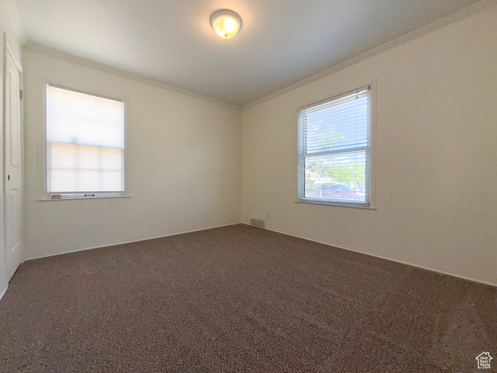 Empty room featuring crown molding and carpet flooring