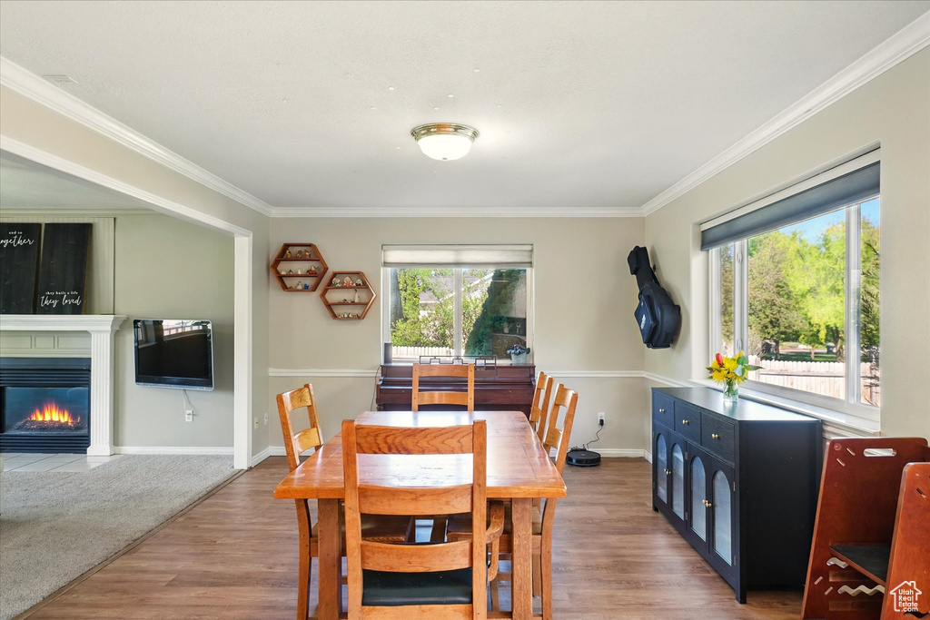 Dining space featuring ornamental molding, wood finished floors, a glass covered fireplace, and baseboards