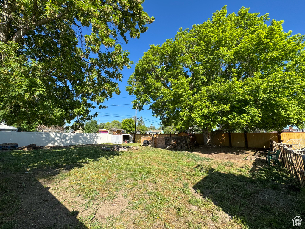 View of yard