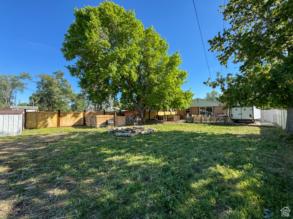 View of yard