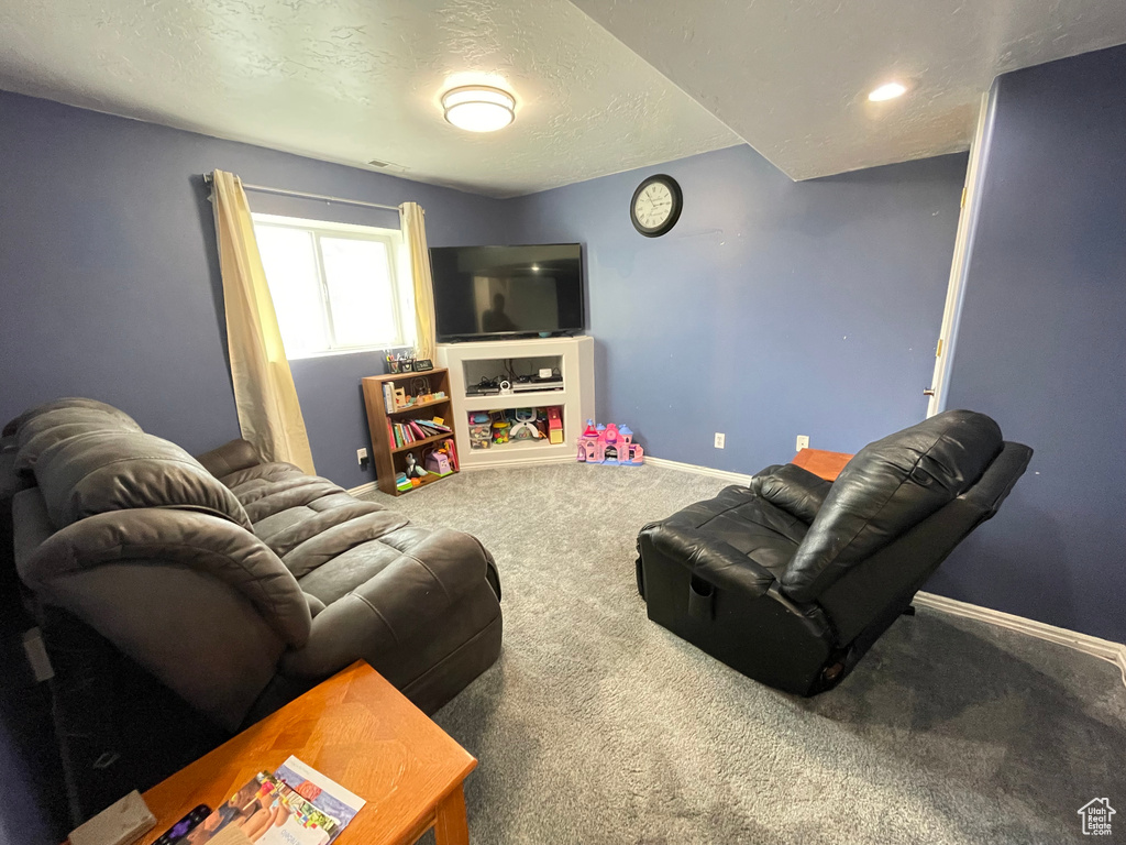 Carpeted living area featuring baseboards and a textured ceiling