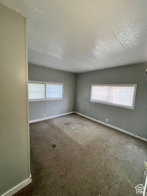 Spare room with a textured ceiling, plenty of natural light, carpet, and baseboards