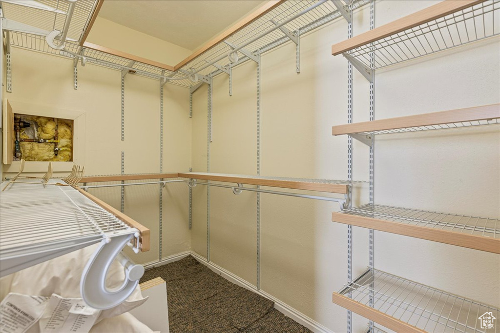 Walk in closet featuring carpet