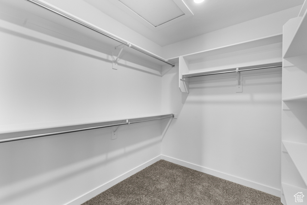 Spacious closet with dark colored carpet