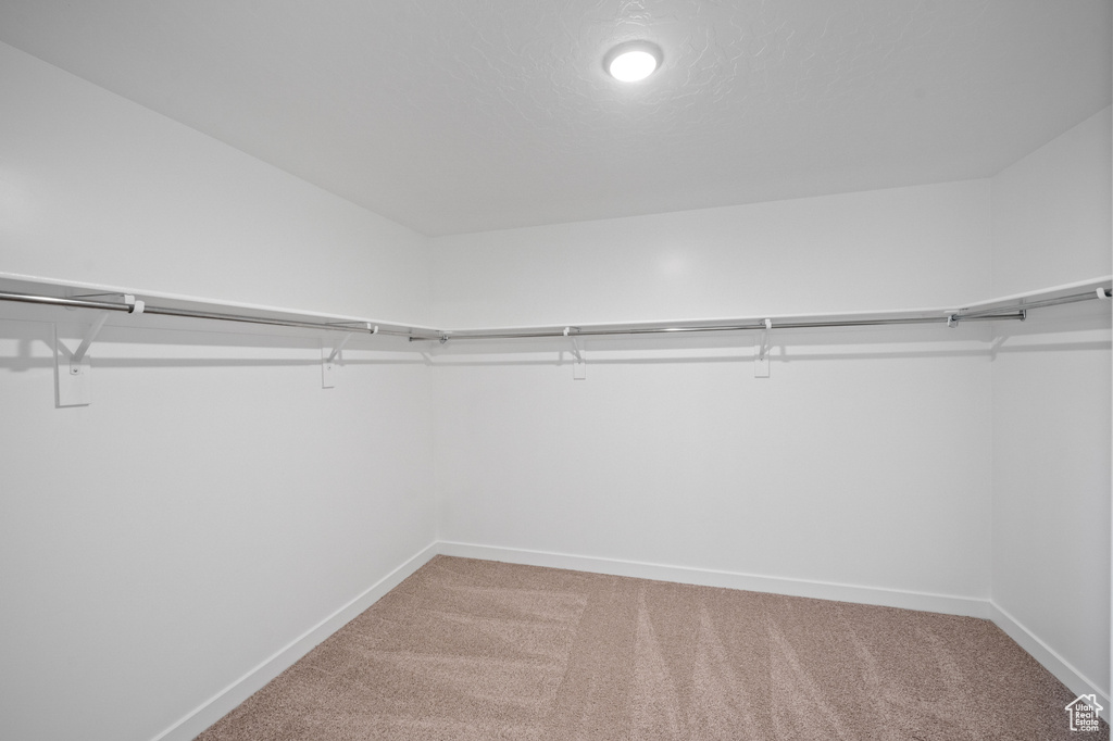 Walk in closet featuring light carpet
