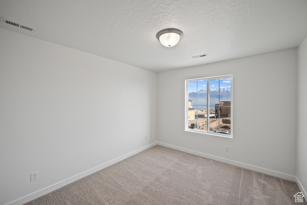 Spare room with baseboards, carpet, and a textured ceiling