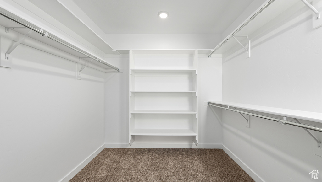 Walk in closet with dark carpet