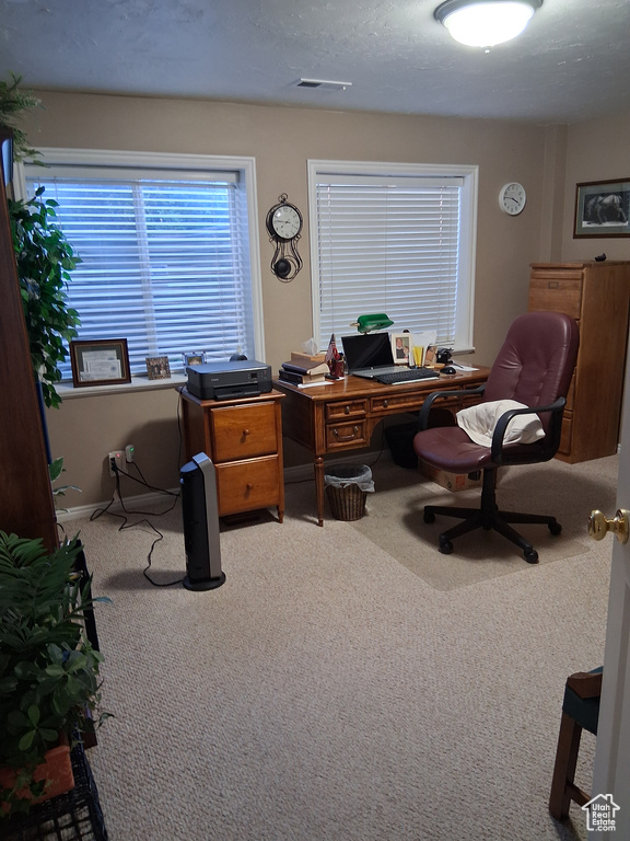 Office with carpet floors