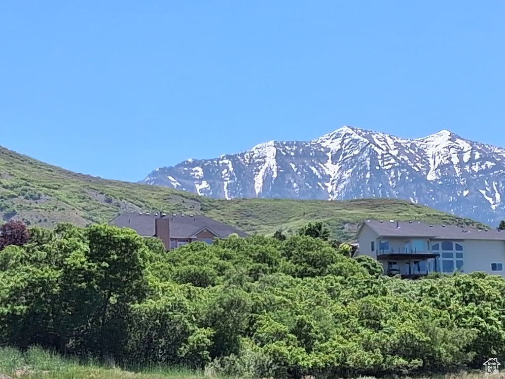 Mountain view