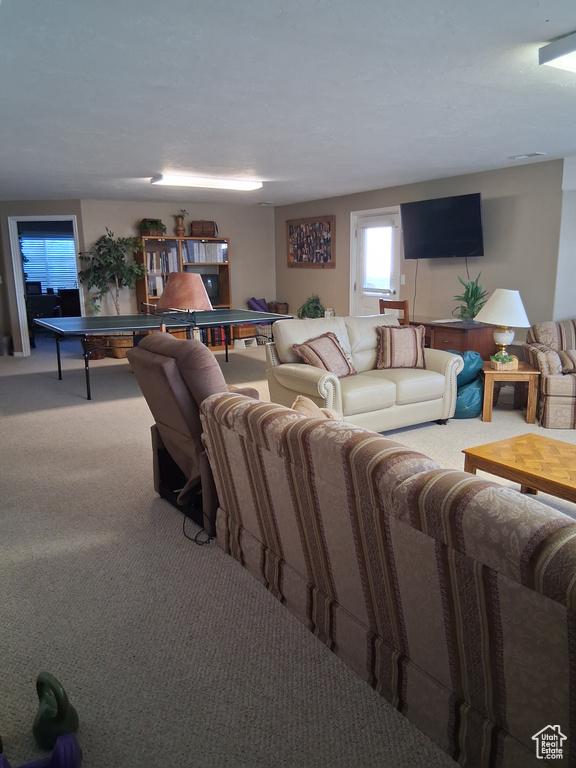 Living area featuring carpet and pool table