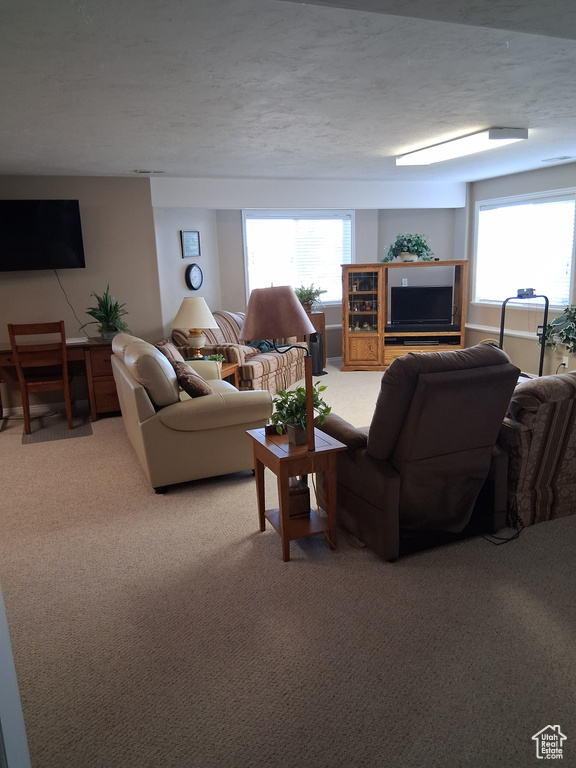 Living area featuring light carpet