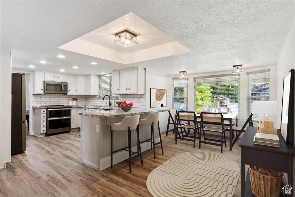 Kitchen featuring stainless steel appliances, a peninsula, a sink, plenty of natural light, and recessed lighting