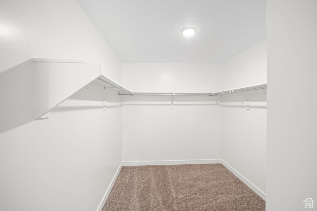 Spacious closet featuring carpet