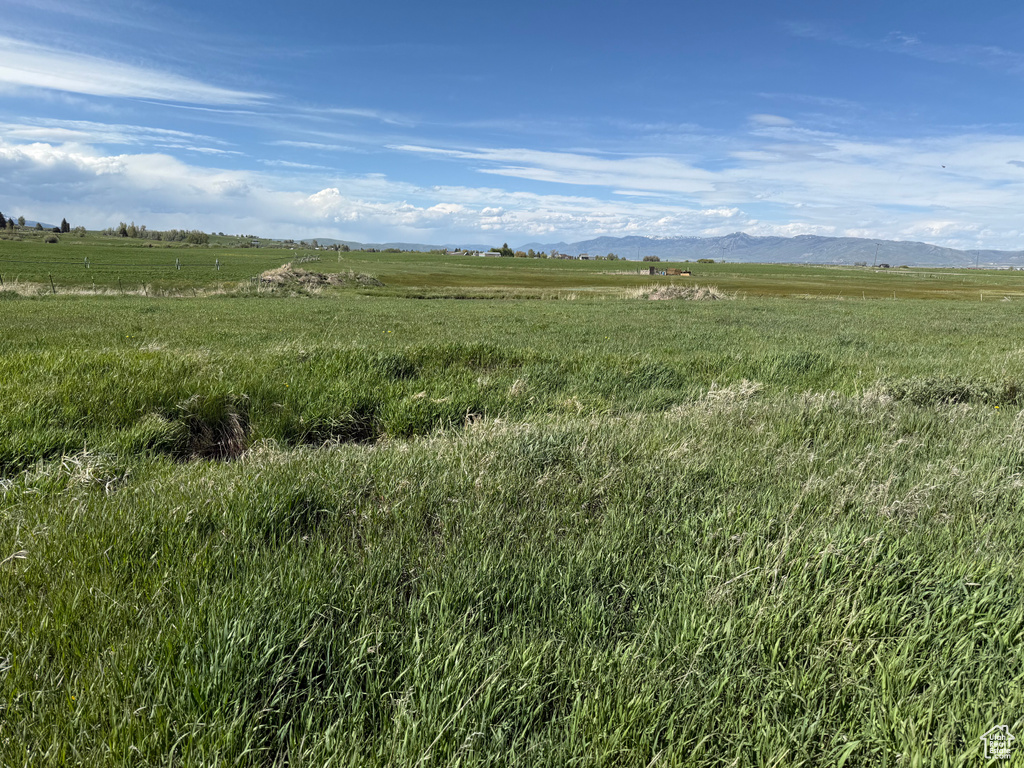 View of local wilderness with rural landscape and a mountainous background
