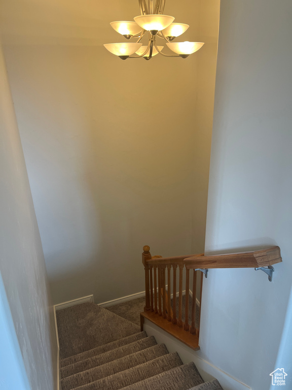 Stairs with carpet