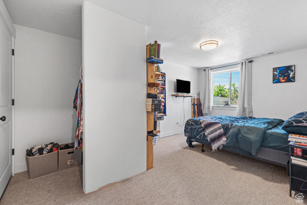 Bedroom featuring carpet flooring, a textured ceiling, and baseboards